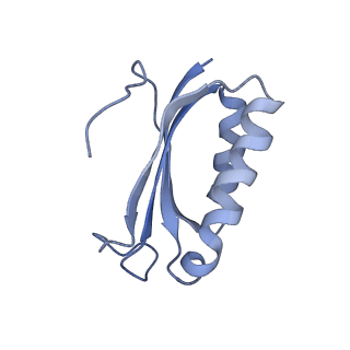 21619_6wd0_K_v1-2
Cryo-EM of elongating ribosome with EF-Tu*GTP elucidates tRNA proofreading (Cognate Structure I-A)