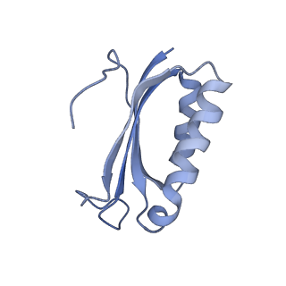 21619_6wd0_K_v1-3
Cryo-EM of elongating ribosome with EF-Tu*GTP elucidates tRNA proofreading (Cognate Structure I-A)