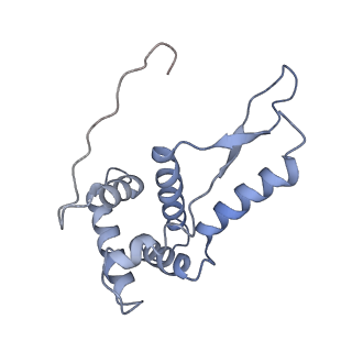21619_6wd0_L_v1-2
Cryo-EM of elongating ribosome with EF-Tu*GTP elucidates tRNA proofreading (Cognate Structure I-A)