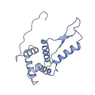 21619_6wd0_L_v1-3
Cryo-EM of elongating ribosome with EF-Tu*GTP elucidates tRNA proofreading (Cognate Structure I-A)