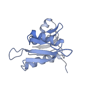 21619_6wd0_M_v1-2
Cryo-EM of elongating ribosome with EF-Tu*GTP elucidates tRNA proofreading (Cognate Structure I-A)