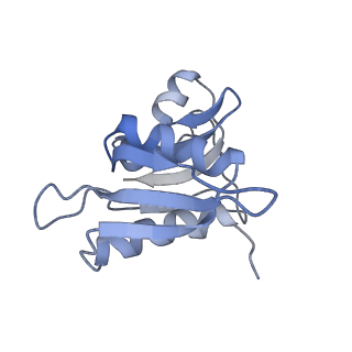 21619_6wd0_M_v1-3
Cryo-EM of elongating ribosome with EF-Tu*GTP elucidates tRNA proofreading (Cognate Structure I-A)