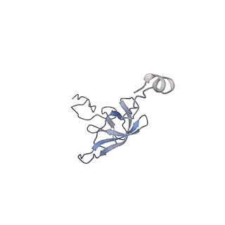 21619_6wd0_Q_v1-2
Cryo-EM of elongating ribosome with EF-Tu*GTP elucidates tRNA proofreading (Cognate Structure I-A)