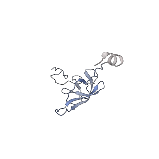 21619_6wd0_Q_v1-3
Cryo-EM of elongating ribosome with EF-Tu*GTP elucidates tRNA proofreading (Cognate Structure I-A)