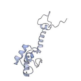21619_6wd0_R_v1-2
Cryo-EM of elongating ribosome with EF-Tu*GTP elucidates tRNA proofreading (Cognate Structure I-A)