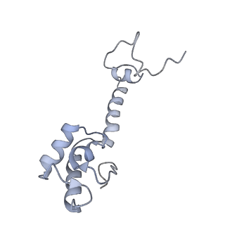 21619_6wd0_R_v1-3
Cryo-EM of elongating ribosome with EF-Tu*GTP elucidates tRNA proofreading (Cognate Structure I-A)