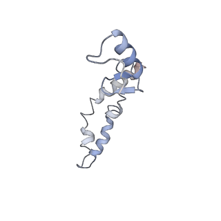 21619_6wd0_S_v1-3
Cryo-EM of elongating ribosome with EF-Tu*GTP elucidates tRNA proofreading (Cognate Structure I-A)