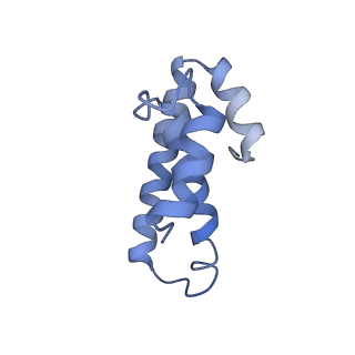 21619_6wd0_T_v1-3
Cryo-EM of elongating ribosome with EF-Tu*GTP elucidates tRNA proofreading (Cognate Structure I-A)