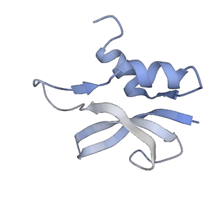 21619_6wd0_U_v1-2
Cryo-EM of elongating ribosome with EF-Tu*GTP elucidates tRNA proofreading (Cognate Structure I-A)