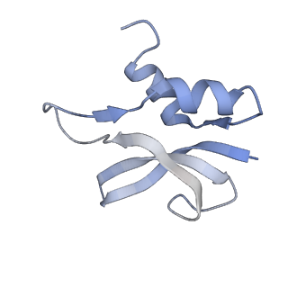 21619_6wd0_U_v1-3
Cryo-EM of elongating ribosome with EF-Tu*GTP elucidates tRNA proofreading (Cognate Structure I-A)