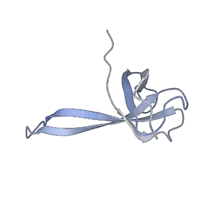21619_6wd0_V_v1-2
Cryo-EM of elongating ribosome with EF-Tu*GTP elucidates tRNA proofreading (Cognate Structure I-A)