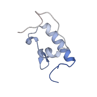 21619_6wd0_W_v1-2
Cryo-EM of elongating ribosome with EF-Tu*GTP elucidates tRNA proofreading (Cognate Structure I-A)