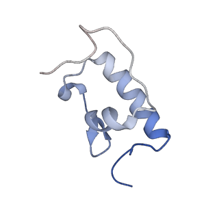 21619_6wd0_W_v1-3
Cryo-EM of elongating ribosome with EF-Tu*GTP elucidates tRNA proofreading (Cognate Structure I-A)