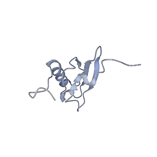 21619_6wd0_X_v1-2
Cryo-EM of elongating ribosome with EF-Tu*GTP elucidates tRNA proofreading (Cognate Structure I-A)