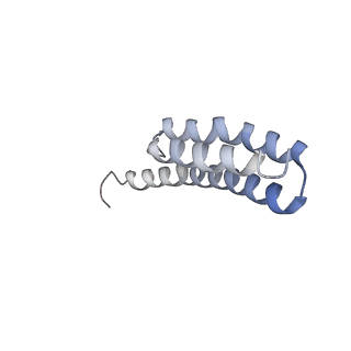 21619_6wd0_Y_v1-2
Cryo-EM of elongating ribosome with EF-Tu*GTP elucidates tRNA proofreading (Cognate Structure I-A)