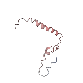 21619_6wd0_Z_v1-2
Cryo-EM of elongating ribosome with EF-Tu*GTP elucidates tRNA proofreading (Cognate Structure I-A)