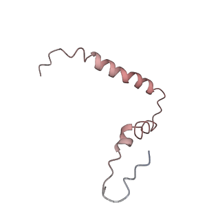 21619_6wd0_Z_v1-3
Cryo-EM of elongating ribosome with EF-Tu*GTP elucidates tRNA proofreading (Cognate Structure I-A)