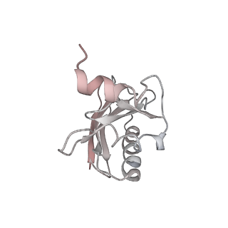 21619_6wd0_a_v1-3
Cryo-EM of elongating ribosome with EF-Tu*GTP elucidates tRNA proofreading (Cognate Structure I-A)