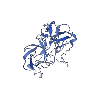 21619_6wd0_b_v1-2
Cryo-EM of elongating ribosome with EF-Tu*GTP elucidates tRNA proofreading (Cognate Structure I-A)