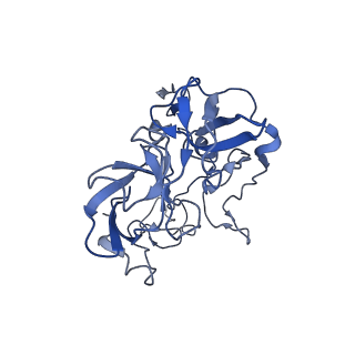 21619_6wd0_b_v1-3
Cryo-EM of elongating ribosome with EF-Tu*GTP elucidates tRNA proofreading (Cognate Structure I-A)