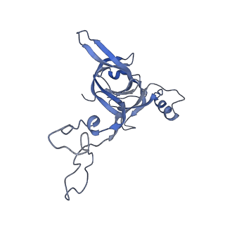 21619_6wd0_c_v1-3
Cryo-EM of elongating ribosome with EF-Tu*GTP elucidates tRNA proofreading (Cognate Structure I-A)