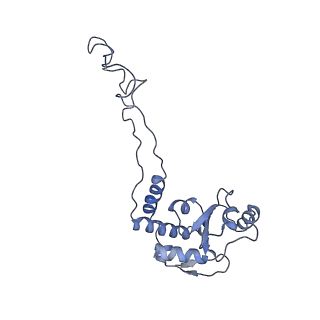 21619_6wd0_d_v1-2
Cryo-EM of elongating ribosome with EF-Tu*GTP elucidates tRNA proofreading (Cognate Structure I-A)