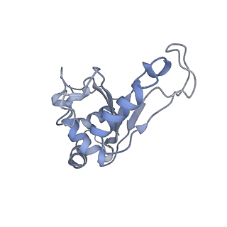 21619_6wd0_e_v1-2
Cryo-EM of elongating ribosome with EF-Tu*GTP elucidates tRNA proofreading (Cognate Structure I-A)