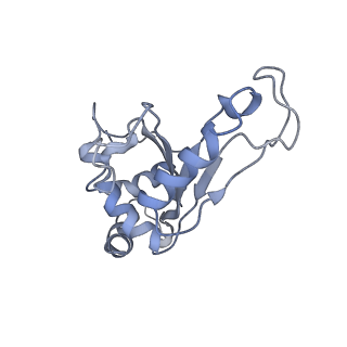 21619_6wd0_e_v1-3
Cryo-EM of elongating ribosome with EF-Tu*GTP elucidates tRNA proofreading (Cognate Structure I-A)