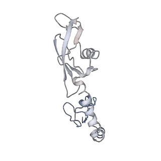 21619_6wd0_g_v1-2
Cryo-EM of elongating ribosome with EF-Tu*GTP elucidates tRNA proofreading (Cognate Structure I-A)