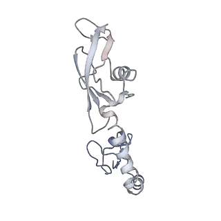 21619_6wd0_g_v1-3
Cryo-EM of elongating ribosome with EF-Tu*GTP elucidates tRNA proofreading (Cognate Structure I-A)