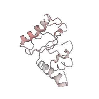 21619_6wd0_h_v1-2
Cryo-EM of elongating ribosome with EF-Tu*GTP elucidates tRNA proofreading (Cognate Structure I-A)