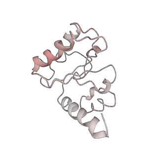 21619_6wd0_h_v1-3
Cryo-EM of elongating ribosome with EF-Tu*GTP elucidates tRNA proofreading (Cognate Structure I-A)