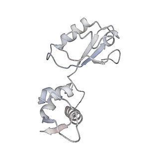 21619_6wd0_i_v1-2
Cryo-EM of elongating ribosome with EF-Tu*GTP elucidates tRNA proofreading (Cognate Structure I-A)