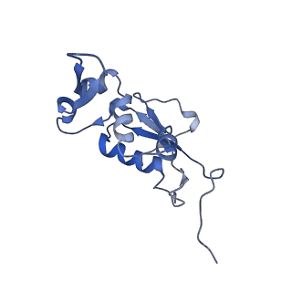 21619_6wd0_j_v1-3
Cryo-EM of elongating ribosome with EF-Tu*GTP elucidates tRNA proofreading (Cognate Structure I-A)