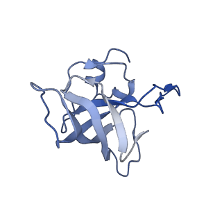 21619_6wd0_k_v1-2
Cryo-EM of elongating ribosome with EF-Tu*GTP elucidates tRNA proofreading (Cognate Structure I-A)