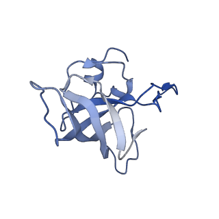 21619_6wd0_k_v1-3
Cryo-EM of elongating ribosome with EF-Tu*GTP elucidates tRNA proofreading (Cognate Structure I-A)