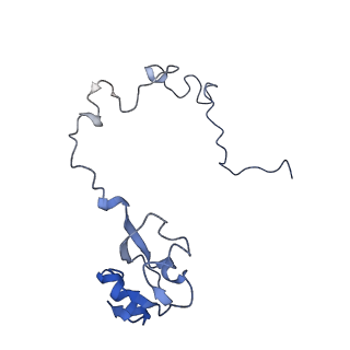21619_6wd0_l_v1-2
Cryo-EM of elongating ribosome with EF-Tu*GTP elucidates tRNA proofreading (Cognate Structure I-A)