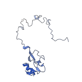 21619_6wd0_l_v1-3
Cryo-EM of elongating ribosome with EF-Tu*GTP elucidates tRNA proofreading (Cognate Structure I-A)