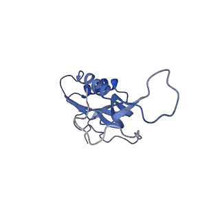 21619_6wd0_m_v1-2
Cryo-EM of elongating ribosome with EF-Tu*GTP elucidates tRNA proofreading (Cognate Structure I-A)