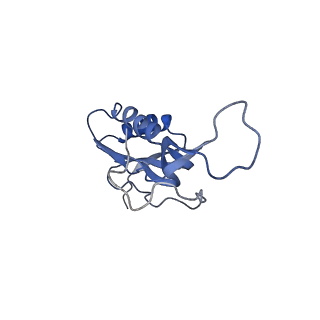 21619_6wd0_m_v1-3
Cryo-EM of elongating ribosome with EF-Tu*GTP elucidates tRNA proofreading (Cognate Structure I-A)