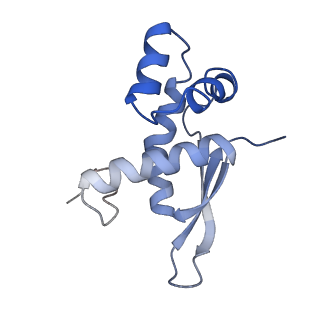 21619_6wd0_n_v1-2
Cryo-EM of elongating ribosome with EF-Tu*GTP elucidates tRNA proofreading (Cognate Structure I-A)