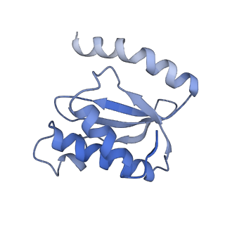 21619_6wd0_o_v1-2
Cryo-EM of elongating ribosome with EF-Tu*GTP elucidates tRNA proofreading (Cognate Structure I-A)