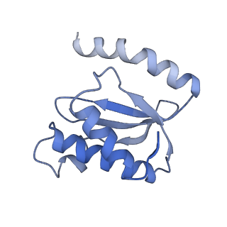 21619_6wd0_o_v1-3
Cryo-EM of elongating ribosome with EF-Tu*GTP elucidates tRNA proofreading (Cognate Structure I-A)