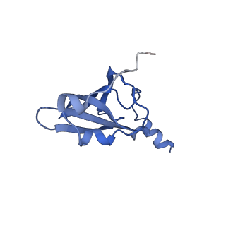 21619_6wd0_p_v1-2
Cryo-EM of elongating ribosome with EF-Tu*GTP elucidates tRNA proofreading (Cognate Structure I-A)
