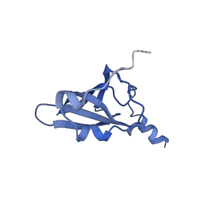 21619_6wd0_p_v1-3
Cryo-EM of elongating ribosome with EF-Tu*GTP elucidates tRNA proofreading (Cognate Structure I-A)
