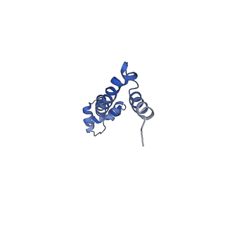 21619_6wd0_q_v1-2
Cryo-EM of elongating ribosome with EF-Tu*GTP elucidates tRNA proofreading (Cognate Structure I-A)