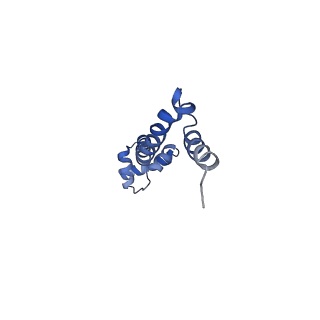 21619_6wd0_q_v1-3
Cryo-EM of elongating ribosome with EF-Tu*GTP elucidates tRNA proofreading (Cognate Structure I-A)