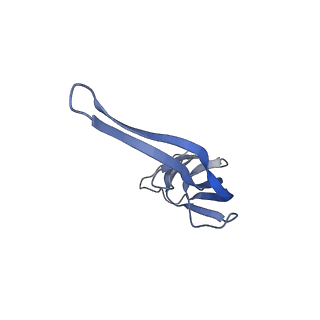 21619_6wd0_r_v1-2
Cryo-EM of elongating ribosome with EF-Tu*GTP elucidates tRNA proofreading (Cognate Structure I-A)