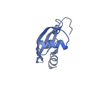 21619_6wd0_t_v1-3
Cryo-EM of elongating ribosome with EF-Tu*GTP elucidates tRNA proofreading (Cognate Structure I-A)