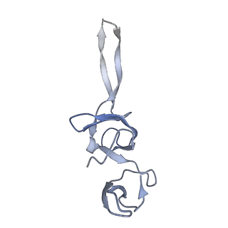 21619_6wd0_u_v1-3
Cryo-EM of elongating ribosome with EF-Tu*GTP elucidates tRNA proofreading (Cognate Structure I-A)